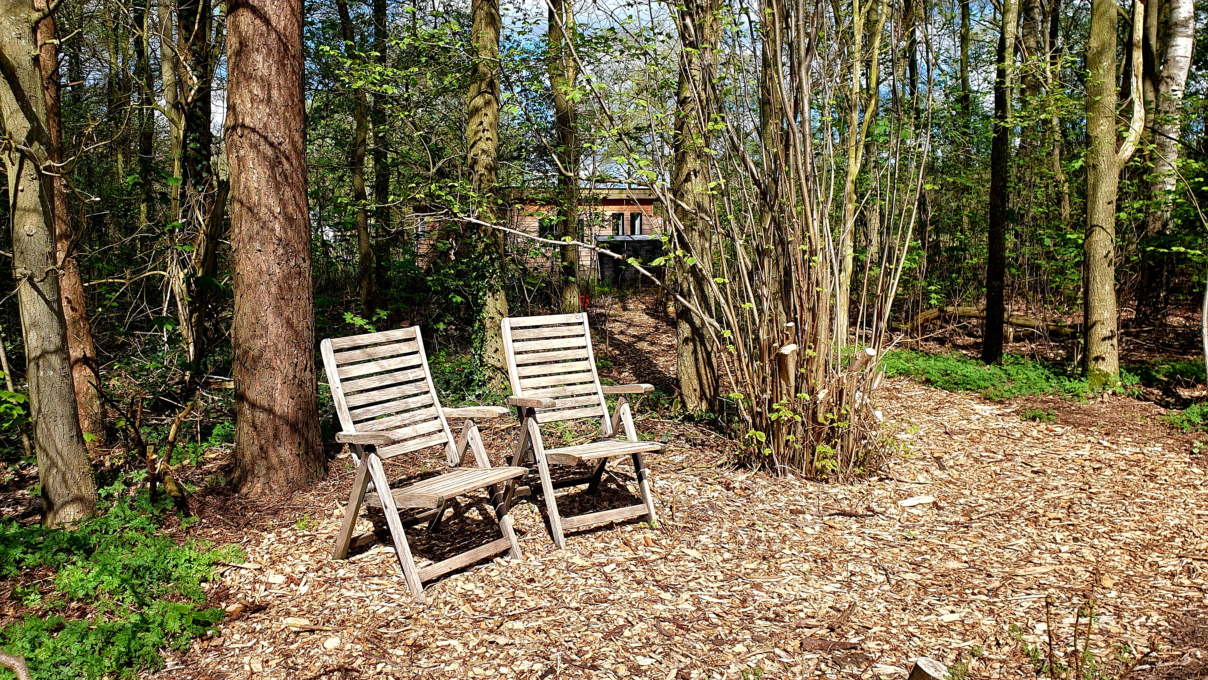 Foto van vakantiehuis de Fazantenhof